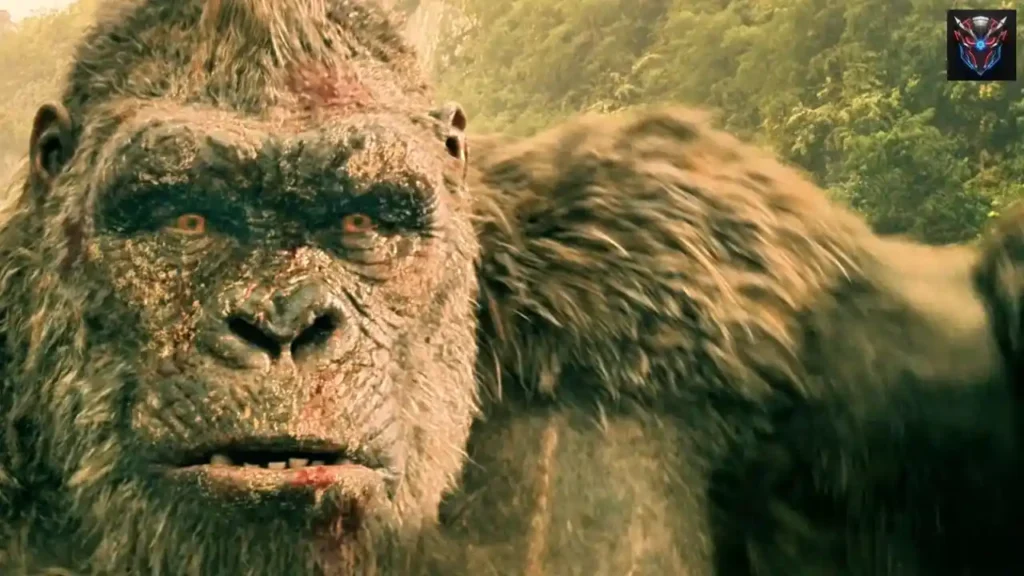 Kong kindness image